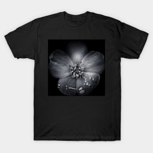 Backyard Flowers In Black And White 30 T-Shirt